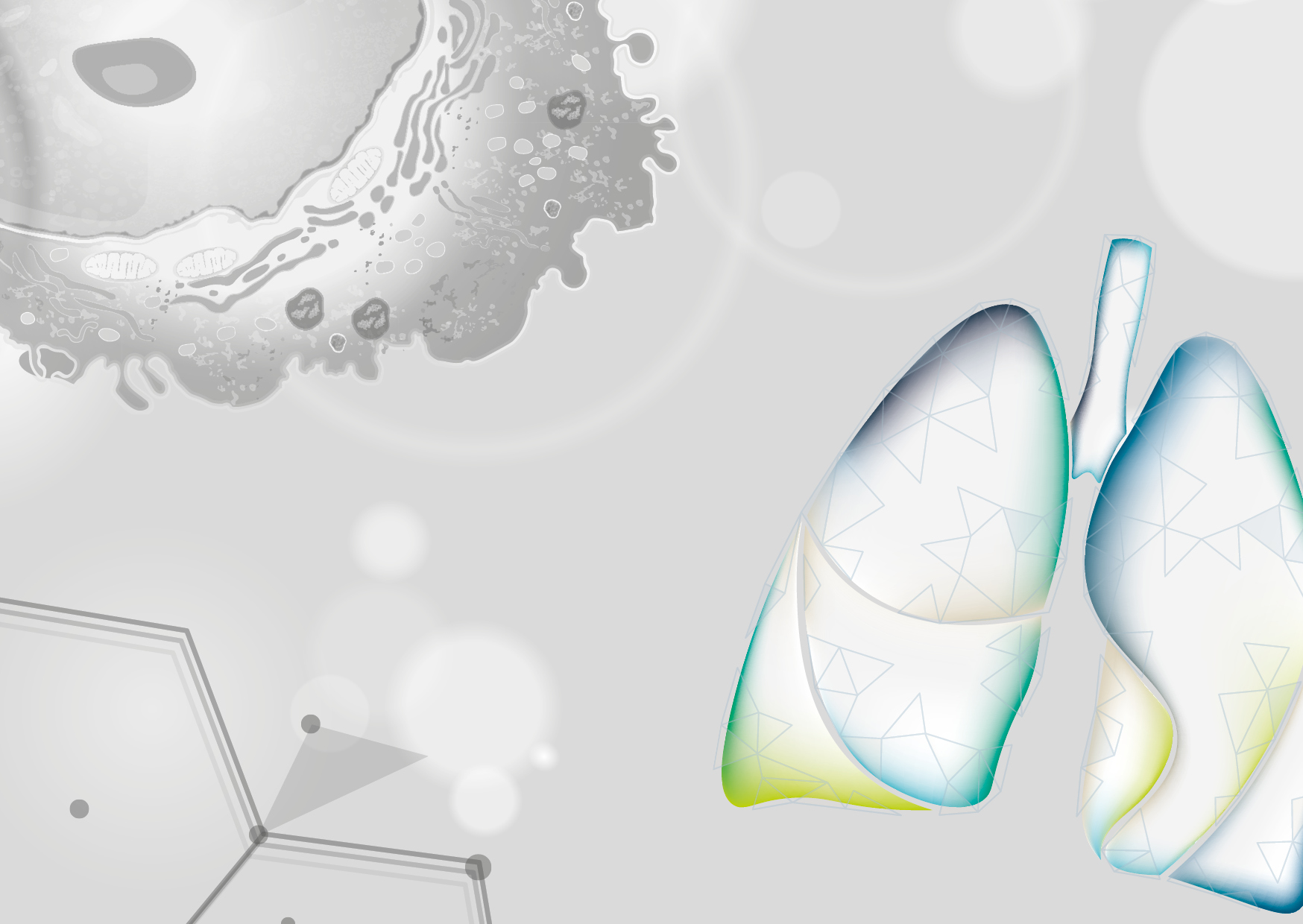 Grafische Darstellung einer Lunge und Makrophage